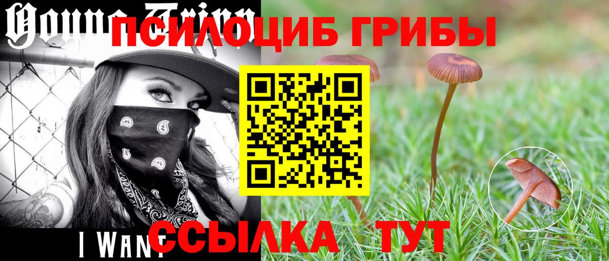 Псилоцибиновые грибы MAGIC MUSHROOMS Гусев