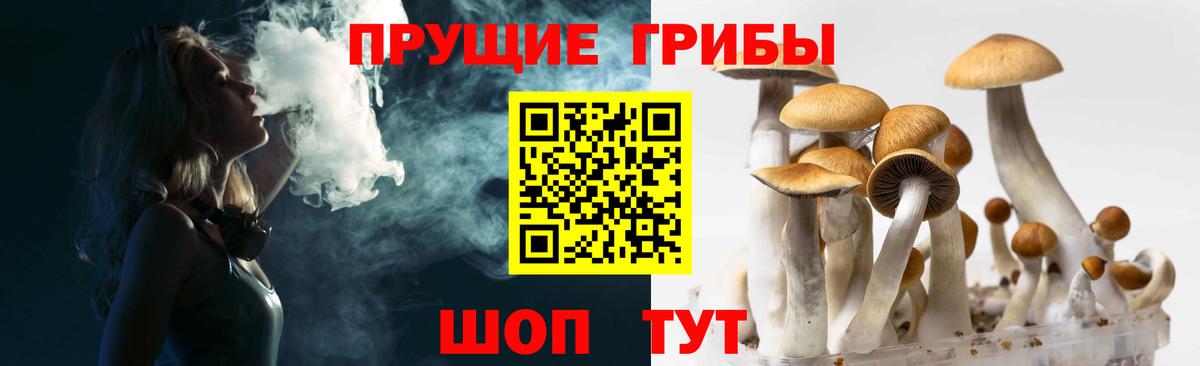Галлюциногенные грибы мухоморы  Вход с VPN  Гусев 